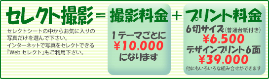 セレクト撮影料金